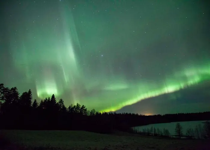 Kupsala , Laatulomat Juva