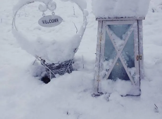 Kupsala , Laatulomat